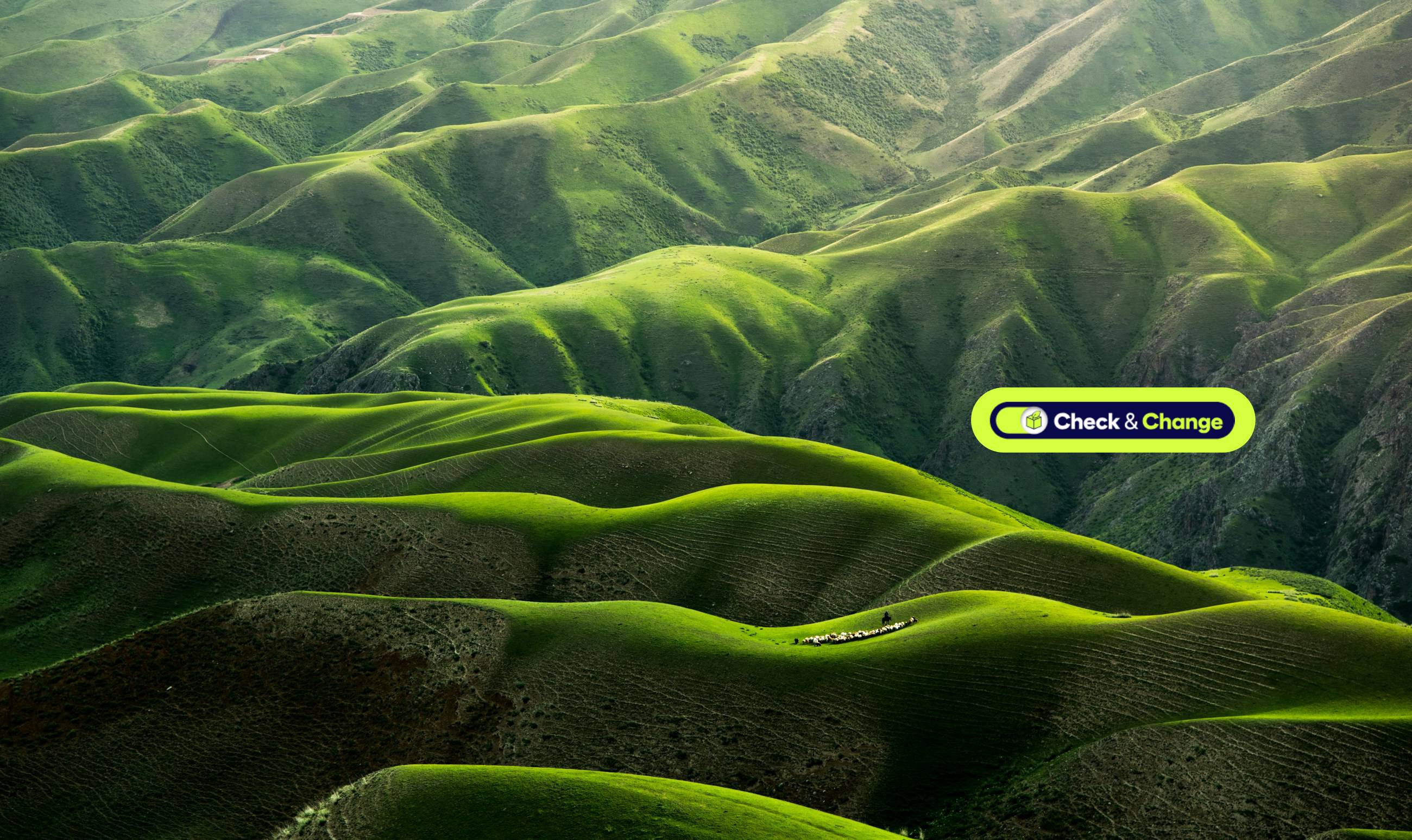 qingbao-meng-01igFr7hd4-unsplash